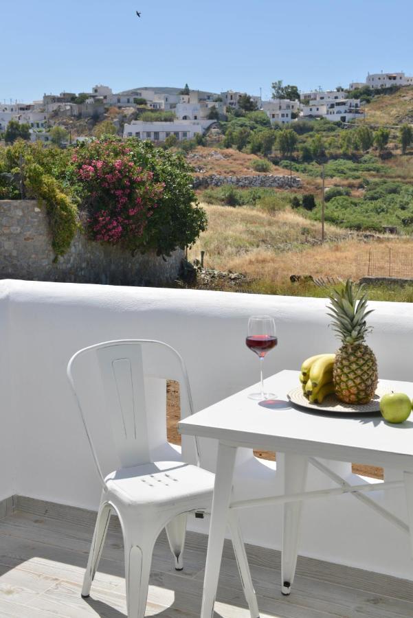 Naxian Album Villa Kaliope With Private Pool In Naxos Γλινάδο Νάξου Εξωτερικό φωτογραφία